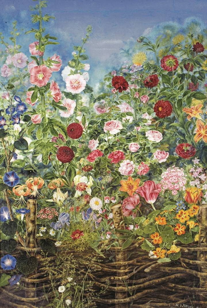 Flowers behind the fence