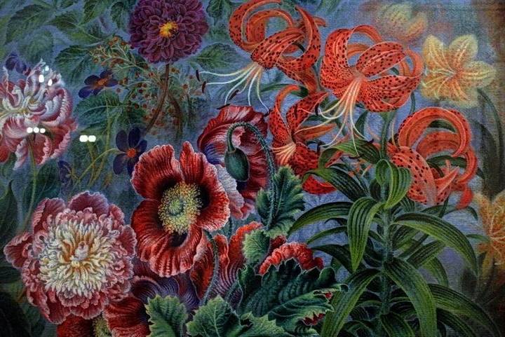 Lilies and poppies