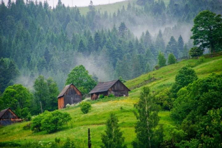 A Carpathian hamlet in mist