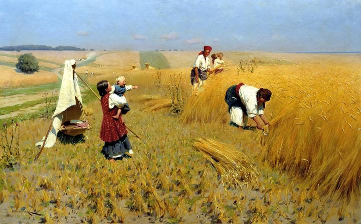 Harvest in Ukraine
